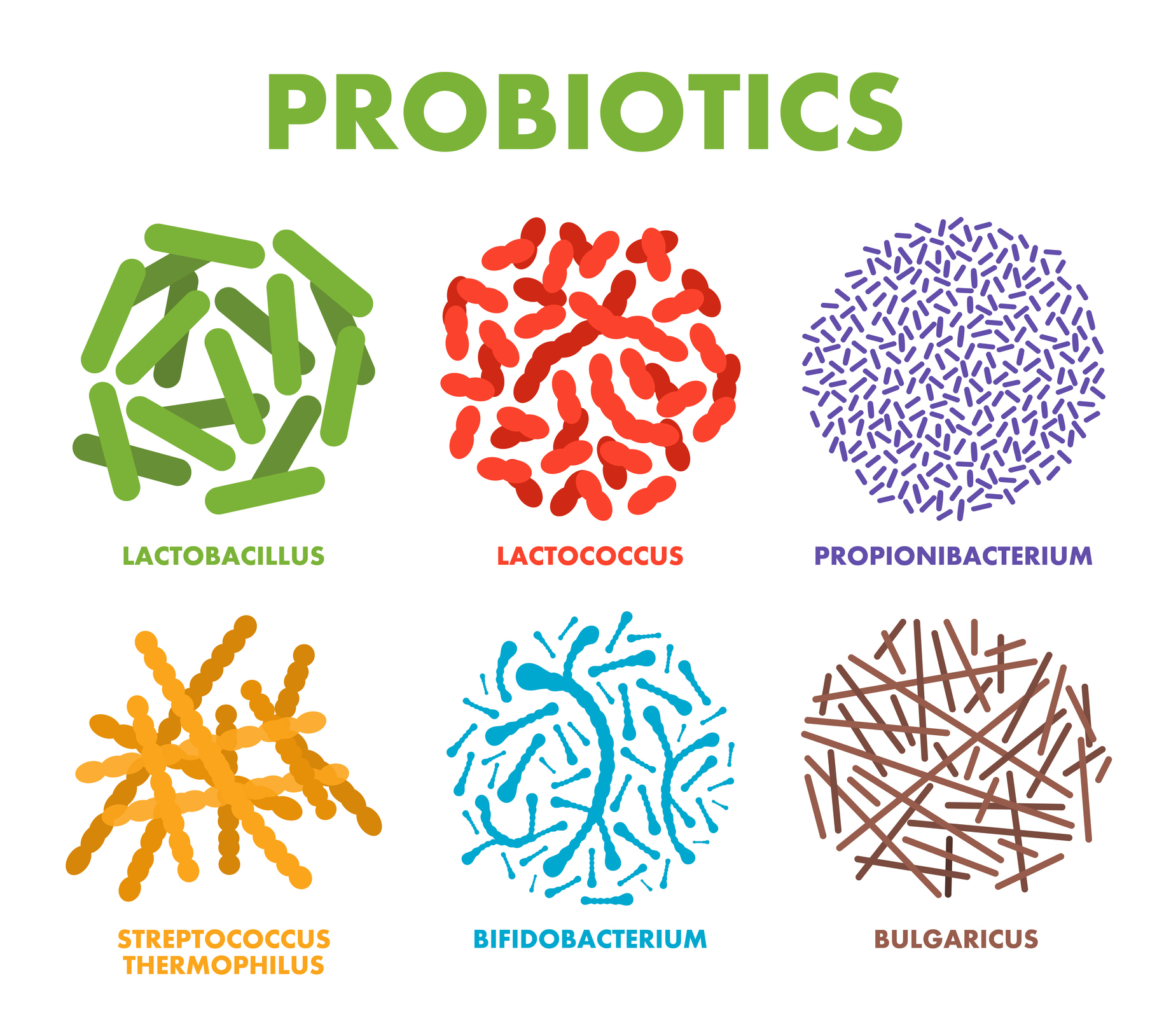 probiotics_gut_health_immunity_2.jpg